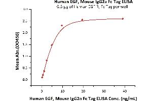 ELISA image for Epidermal Growth Factor (EGF) (AA 971-1023) (Active) protein (Fc Tag) (ABIN6809973)