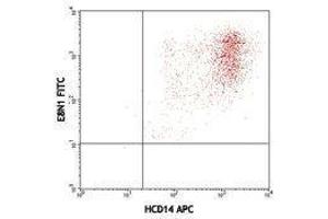 Flow Cytometry (FACS) image for anti-Interleukin 8 (IL8) antibody (FITC) (ABIN2661951) (IL-8 Antikörper  (FITC))