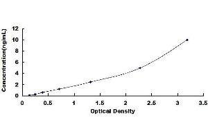 Typical standard curve (SPTBN4 ELISA Kit)