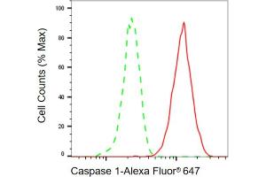 Flow cytometric analysis of Caspase 1 expression in HT- cells using Caspase 1 antibody (ABIN7797886), 1:2,000).