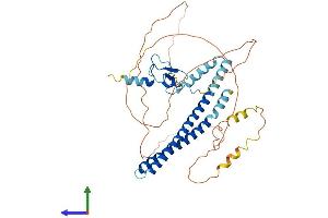 Protein Structure (PS) image for Inhibitor of Growth Family, Member 3 (ING3) (AA 1-418) protein (His tag) (ABIN7554174)