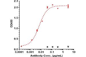 Immobilized human TREM1 His at 2 μg/mL can bind Anti-TREM1 / CD354 Reference Antibody (PY159), EC50=0. (Rekombinanter TREM1 Antikörper)