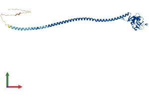Protein Structure (PS) image for CD207 Molecule, Langerin (CD207) (AA 1-328) protein (His tag) (ABIN7553489)