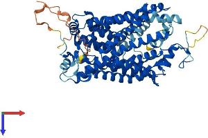 SLC6A13 Protein (AA 1-602) (His tag)