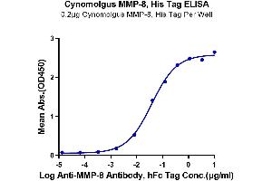 Immobilized Cynomolgus MMP-8, His Tag at 2 μg/mL (100 μL/well) on the plate. (MMP8 Protein (AA 21-467) (His tag))