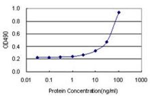 Sandwich ELISA detection sensitivity ranging from 3 ng/mL to 100 ng/mL. (HIP1 (Human) Matched Antibody Pair)