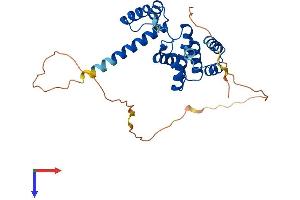 SIX2 Protein (AA 1-291) (His tag)