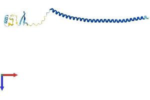 STMN2 Protein (AA 1-179) (His tag)