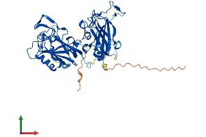 AlphaFold protein structure predicition of Mouse Recombinant Allc Protein, UniprotID Q9JHX6