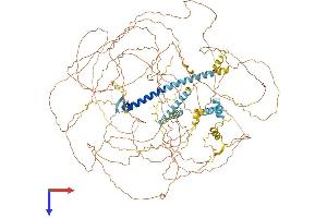 Atrophin 1 Protein (ATN1) (AA 1-1175) (His tag)