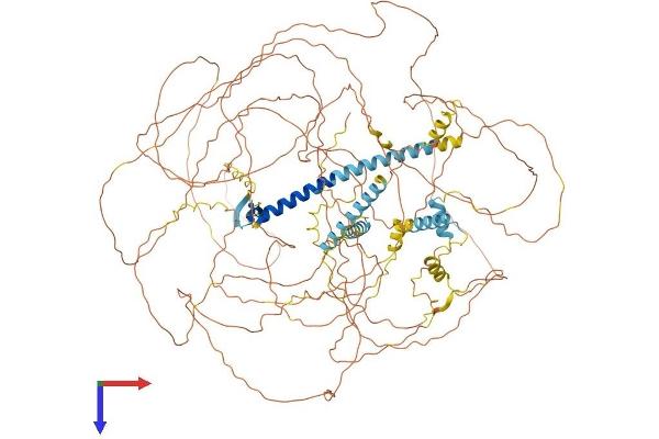 Atrophin 1 Protein (ATN1) (AA 1-1175) (His tag)