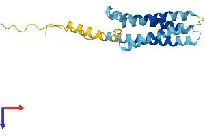 CMTM6 Protein (AA 1-183) (His tag)