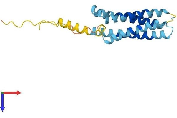CMTM6 Protein (AA 1-183) (His tag)