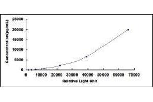 Tissue Polypeptide Specific Antigen (TPS) CLIA Kit