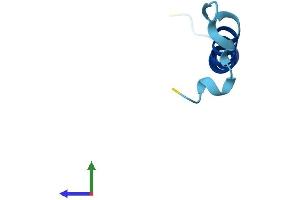 Protein Structure (PS) image for Translocase of Outer Mitochondrial Membrane 7 Homolog (TOMM7) (AA 1-55) protein (Fc Tag) (ABIN7560870)