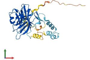 Protein Structure (PS) image for Neuralized Homolog 2 (NEURL2) (AA 1-285) protein (His tag) (ABIN7560851)