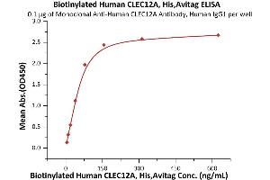 Immobilized Monoclonal A CLEC12A Antibody, Human IgG1 at 1 μg/mL (100 μL/well) can bind Biotinylated Human CLEC12A, His,Avitag (ABIN6973031) with a linear range of 5-78 ng/mL (Routinely tested).