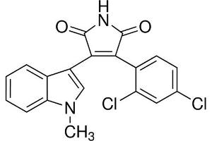 Chemical structure of SB216763 , a GSK-3 kinase inhibitor.