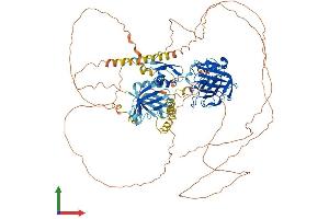 Protein Structure (PS) image for Oxidation Resistance 1 (OXR1) (AA 1-866) protein (His tag) (ABIN7557391)