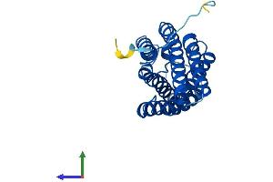 AlphaFold protein structure predicition of Human Recombinant DRAM1 Protein, UniprotID Q8N682