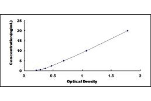 STX2 ELISA Kit