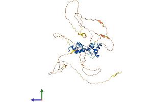 Protein Structure (PS) image for Paired Box 1 (PAX1) (AA 1-446) protein (His tag) (ABIN7562773)