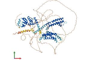 Protein Structure (PS) image for Potassium Voltage-Gated Channel, Shab-Related Subfamily, Member 2 (KCNB2) (AA 1-911) protein (His tag) (ABIN7554245)
