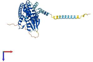 GDAP1 Protein (AA 1-358) (His tag)