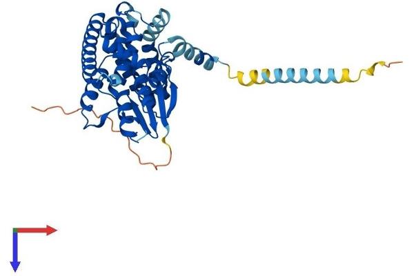 GDAP1 Protein (AA 1-358) (His tag)