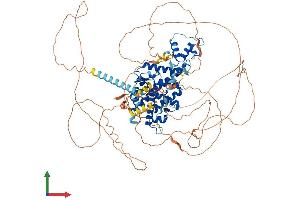 Protein Structure (PS) image for Androgen Receptor (AR) (AA 1-920) protein (His tag) (ABIN7552182)