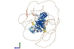 AlphaFold protein structure predicition of Mouse Recombinant Ptpn21 Protein, UniprotID Q62136 (PTPN21 Protein (AA 1-1176) (His tag))