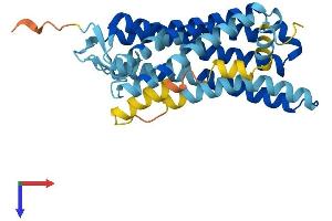 Olfactory Receptor, Family 10, Subfamily J, Member 4 (OR10J4) (AA 1-311) protein (His tag)