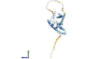 Protein Structure (PS) image for Potassium Channel, Subfamily K, Member 4 (KCNK4) (AA 1-393) protein (His tag) (ABIN7554303)
