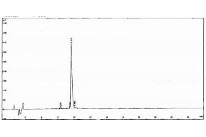 Image no. 2 for Neuropeptide S (NPS) peptide (Ovalbumin) (ABIN5666298) (Neuropeptide S (NPS) peptide (Ovalbumin))