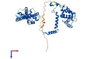 RGS11 Protein (AA 1-443) (His tag)