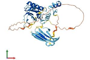 AlphaFold protein structure predicition of Mouse Recombinant Mmp23 Protein, UniprotID O88676 (Matrix Metallopeptidase 23 (MMP23) (AA 1-391) protein (His tag))