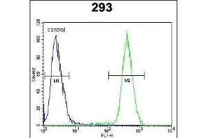 CLG Antibody (Center) (ABIN652066 and ABIN2840534) flow cytometric analysis of 293 cells (right histogr) compared to a negative control cell (left histogr). (CAMLG Antikörper  (AA 111-138))