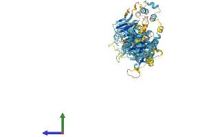 Protein Structure (PS) image for Hermansky-Pudlak Syndrome 6 (HPS6) (AA 1-775) protein (His tag) (ABIN7548305)