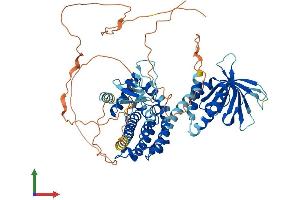 AlphaFold protein structure predicition of Human Recombinant SPATA13 Protein, UniprotID Q96N96
