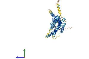 Protein Structure (PS) image for Mesothelin (MSLN) (AA 1-375) protein (His tag) (ABIN7554036)