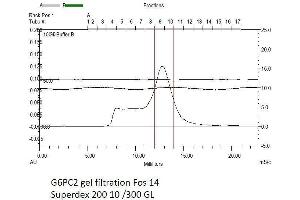 Size-exclusion chromatography-High Pressure Liquid Chromatography (SEC-HPLC) image for Glucose-6-Phosphatase, Catalytic, 2 (G6PC2) (AA 1-355) protein (Strep Tag) (ABIN3107268)