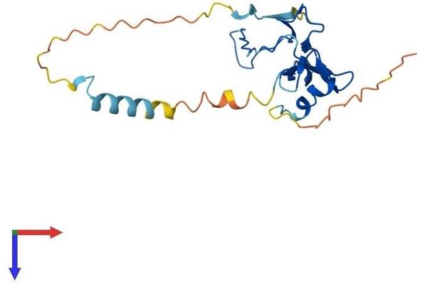 POMZP3 Protein (AA 1-187) (His tag)