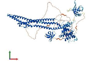 AlphaFold protein structure predicition of Human Recombinant ARHGAP10 Protein, UniprotID A1A4S6