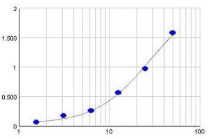 Image no. 1 for IgE ELISA Kit (ABIN457300)
