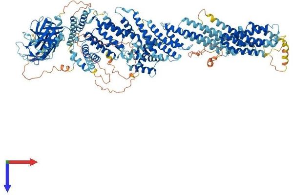 CADPS2 Protein (AA 1-1296) (His tag)