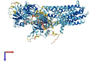 ATP13A2 Protein (AA 1-1180) (His tag)