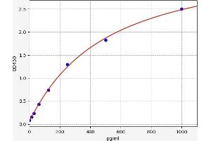 Nitric Oxide Synthase 3 (Endothelial Cell) (NOS3) ELISA Kit