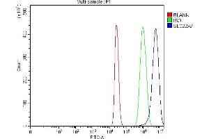 Flow Cytometry analysis of HepG2 cells using anti-OAT2/SLC22A7 antibody (ABIN7601355).