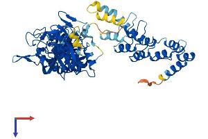Protein Structure (PS) image for Asparaginase Homolog (ASPG) (AA 1-564) protein (His tag) (ABIN7561848)