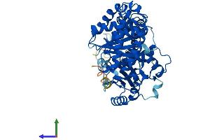 AlphaFold protein structure predicition of Mouse Recombinant Tuba1b Protein, UniprotID P05213